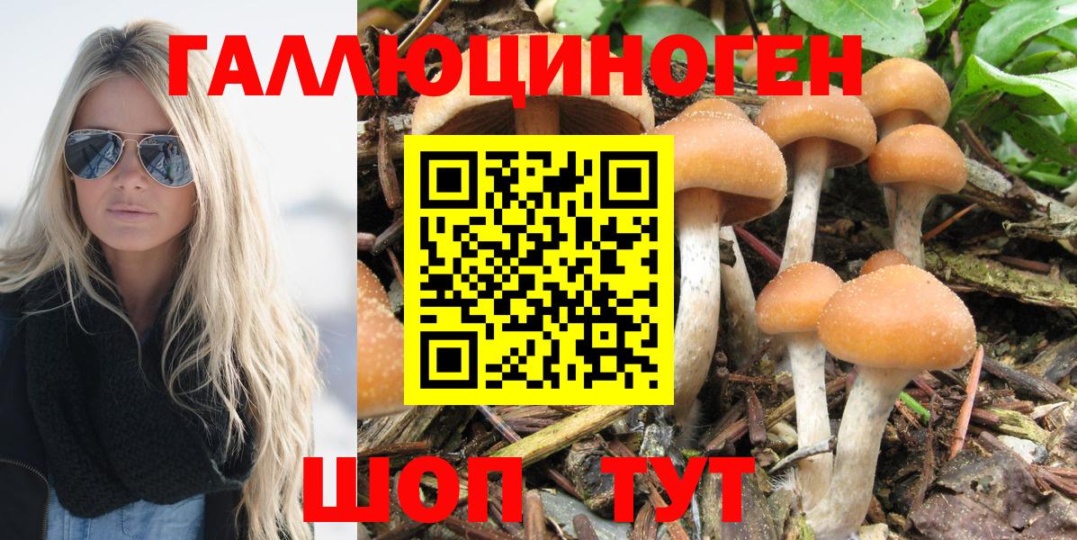 Старая Русса  Галлюциногенные грибы Psilocybe  Вход с VPN 
