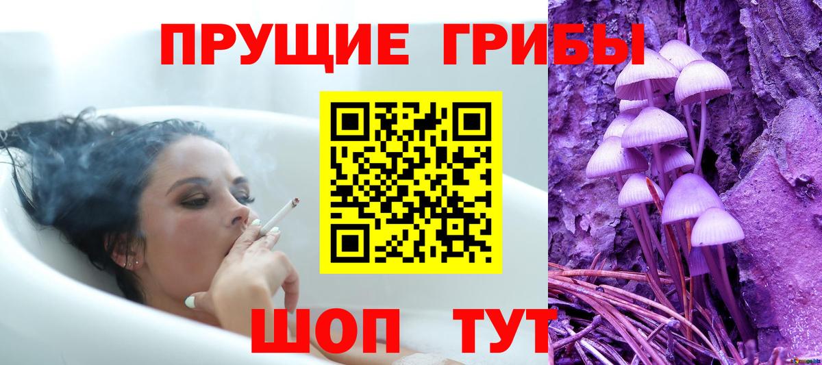 Псилоцибиновые грибы прущие грибы Старая Русса
